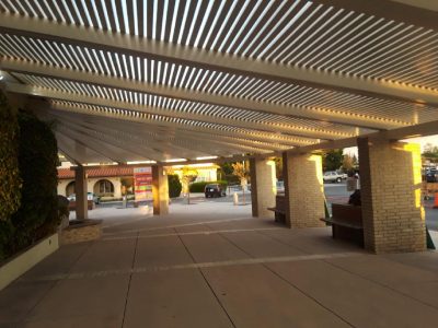 our lady – Copy – Copy